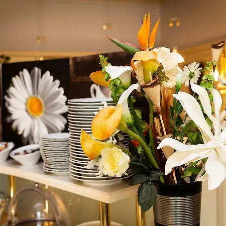 Hotell Burghof Hof (Bavaria)